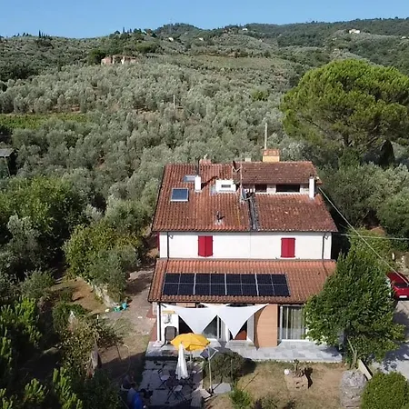 Vallata لامبوريتشو